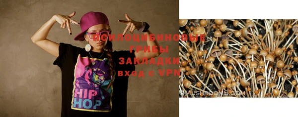 дживик Тобольск