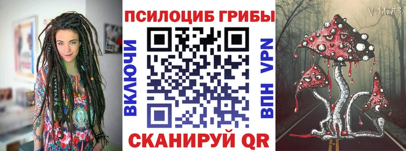 shop наркотические препараты Саки Псилоцибиновые грибы мицелий цены наркотик